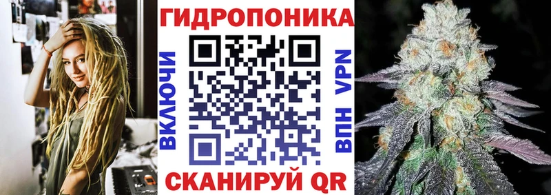 Где купить Орлов блэк спрут онион  Марихуана  АМФЕТАМИН  Метадон  Cocaine  Alpha-PVP  Меф  Гашиш 