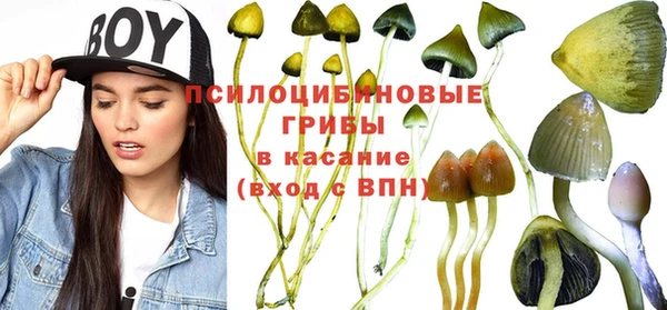 трава Баксан