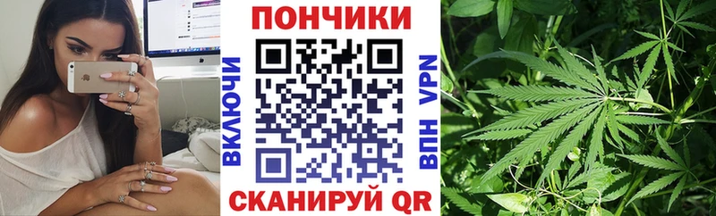 Канабис MAZAR  магазин продажи   Орлов 